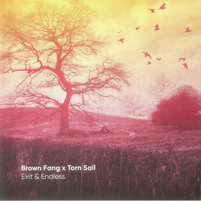BROWN FANG/TORN SAIL - Exit & Endless