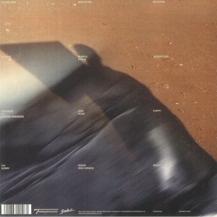 ARLO PARKS - My Soft Machine