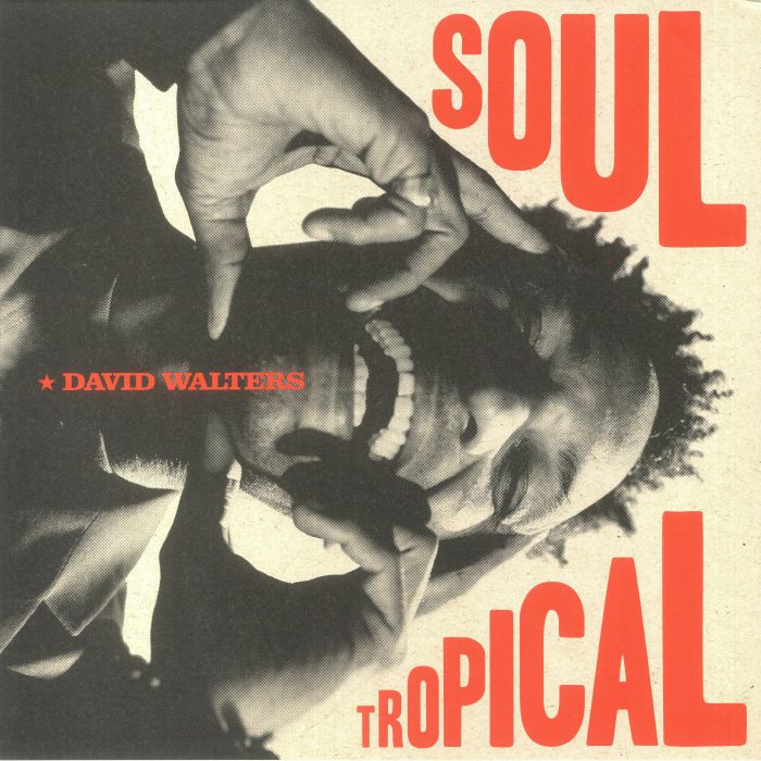 WALTERS, David - Soul Tropical