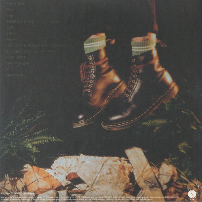 CAVETOWN Worm Food Vinyl at Juno Records.