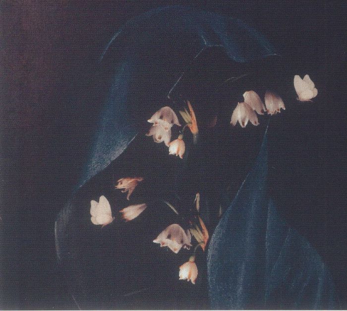 HAIL THE VOID - Memento Mori
