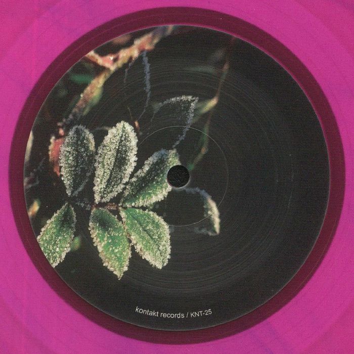 Morphology – Lakeland Dubs vinyl cover