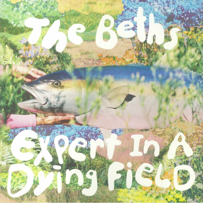 The Beths – Expert In A Dying Field vinyl cover