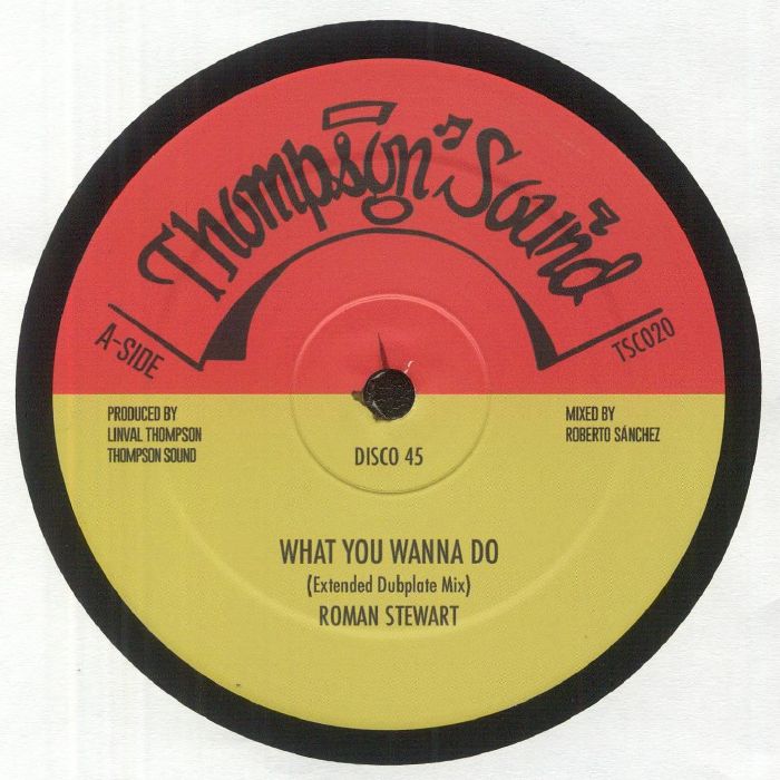 STEWART, Roman/NAZAMBA/THOMPSON SOUND - What You Wunna Do