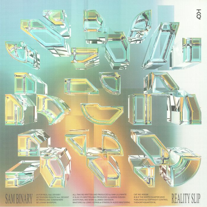 SAM BINARY - Reality Slip