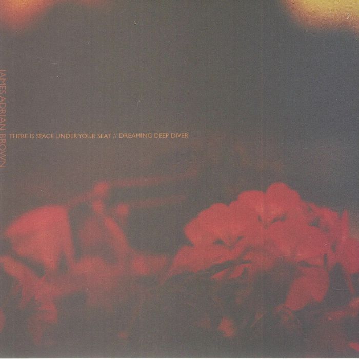 BROWN, James Adrian - There Is Space Under Your Seat