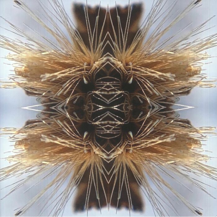 YAKUZA - Sutra