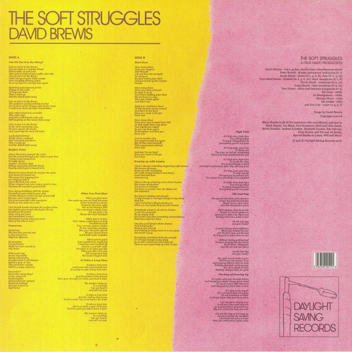 BREWIS, David - The Soft Struggles (B-STOCK)