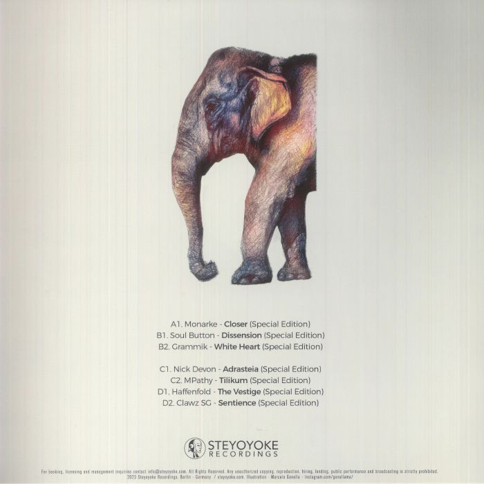 VARIOUS - Steyoyoke 200 (Special Edition)