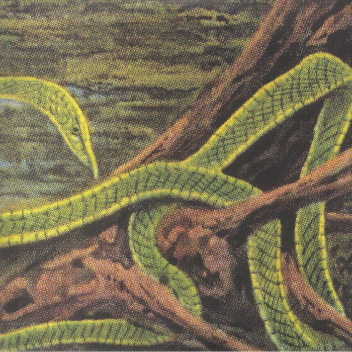 RAINFOREST SPIRITUAL ENSLAVEMENT - Green Graves