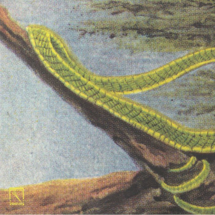 RAINFOREST SPIRITUAL ENSLAVEMENT - Green Graves