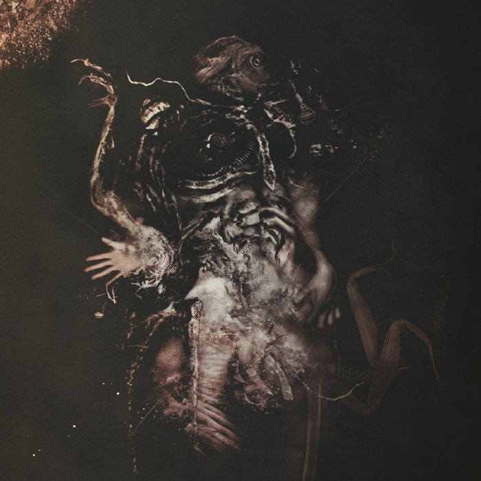 HASARD - Malivore