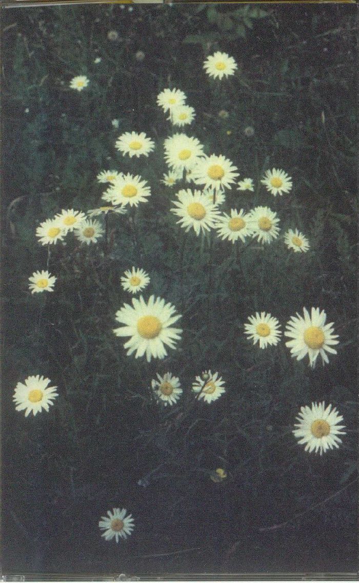 TREVASKIS, William - Hopes & Theory