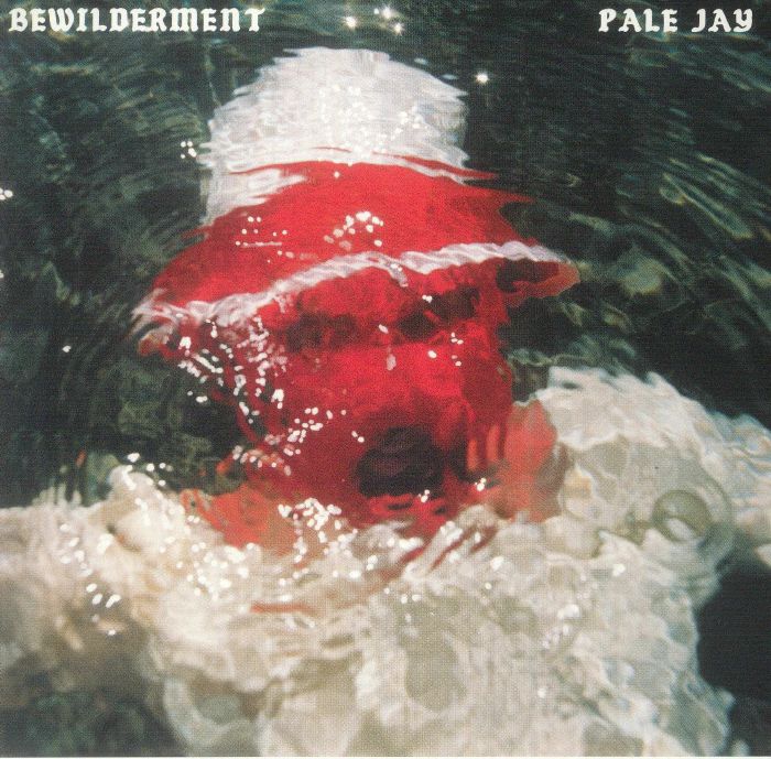 PALE JAY - Bewilderment