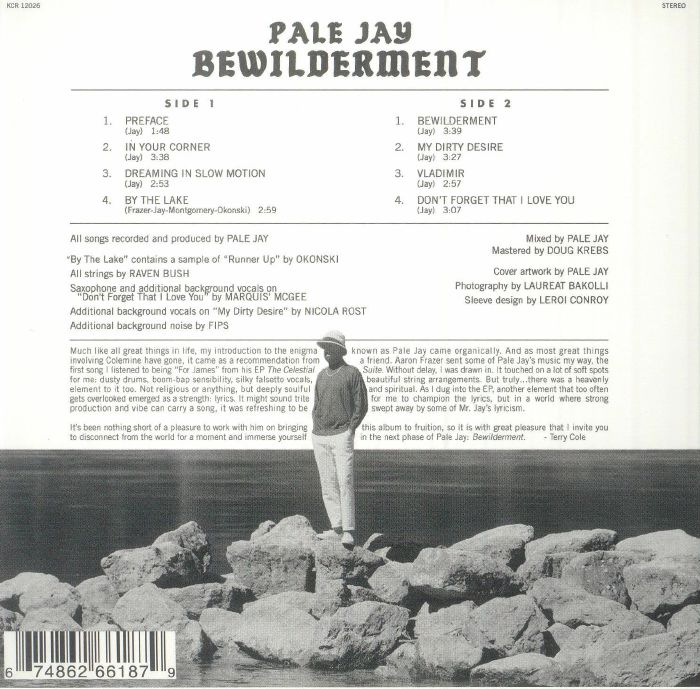 PALE JAY - Bewilderment