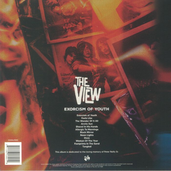 VIEW, The - Exorcism Of Youth