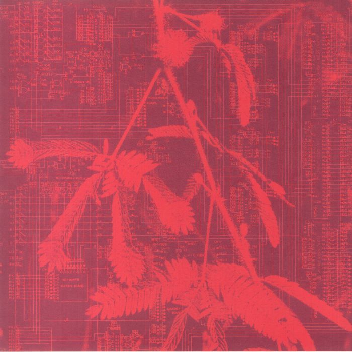 HIDDEN HORSE - Incorporeal