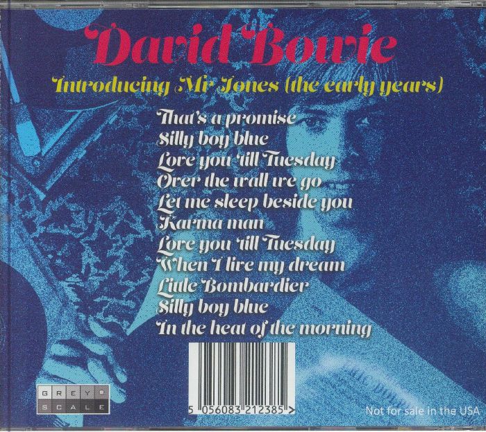 BOWIE, David - Introducing Mr Jones (The Early Years)