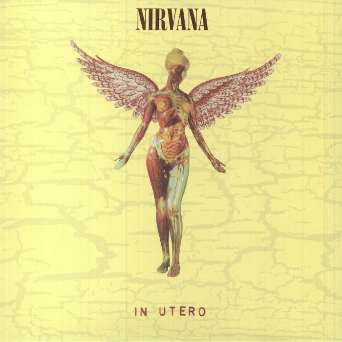 NIRVANA - In Utero (30th Anniversary Edition) (remastered)