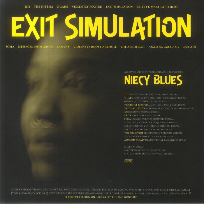 NIECY BLUES - Exit Simulation