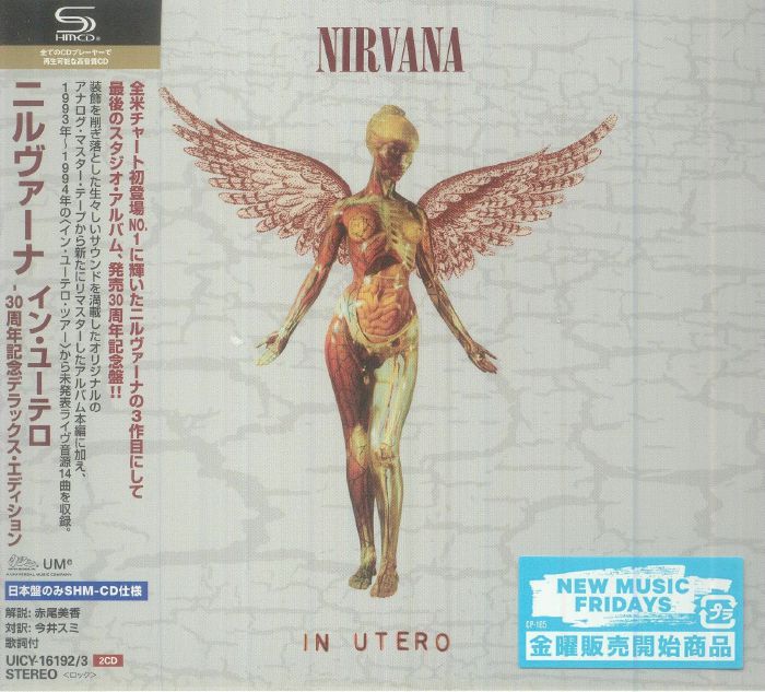 NIRVANA - In Utero (30th Anniversary Edition) (Japanese Edition)