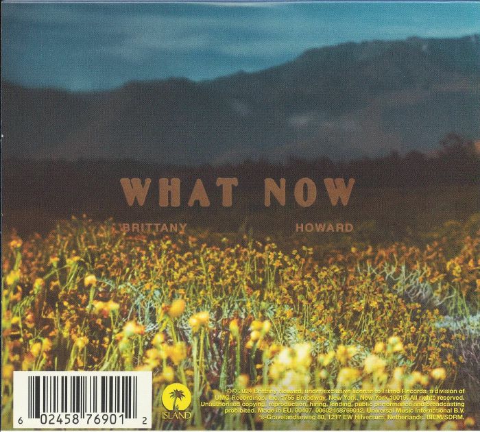 HOWARD, Brittany - What Now