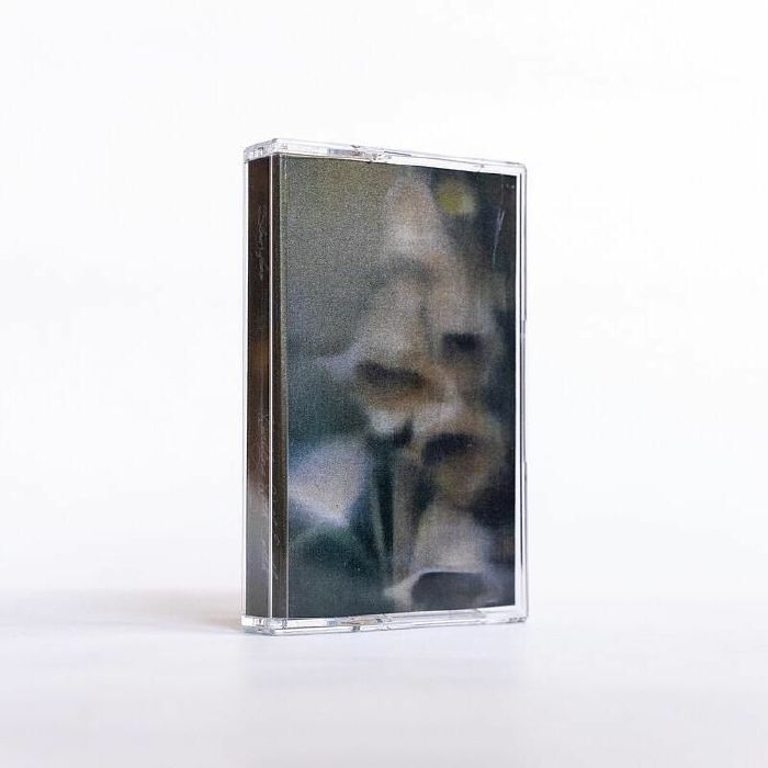 SLOWFOAM - Worlding With Earth