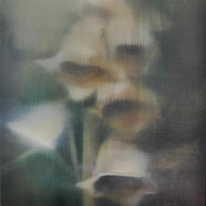 SLOWFOAM - Worlding With Earth