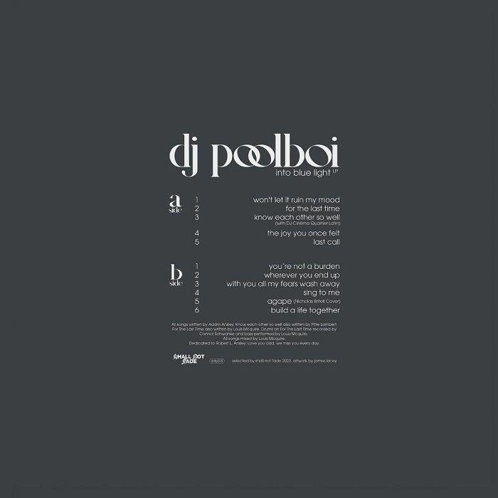DJ POOLBOI - Into Blue Light LP