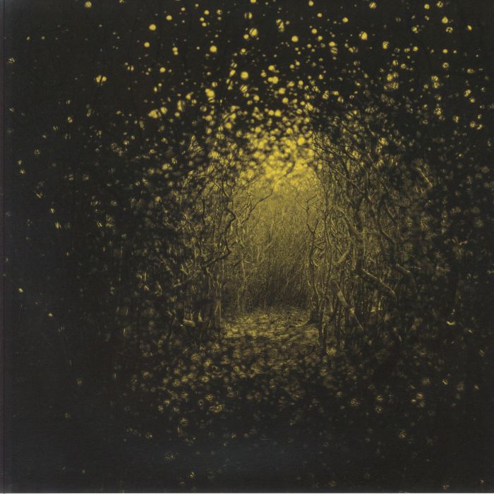 The Antlers – Burst Apart vinyl cover