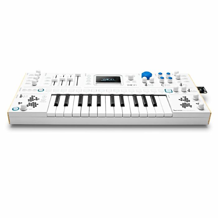 KIVIAK INSTRUMENTS - Kiviak Instruments Wofi 10-Voice Polyphonic Sampler Synthesiser