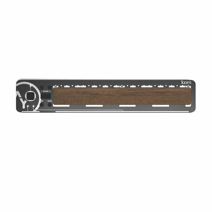 AODYO - Aodyo Loom 2 Octaves Multi-Dimensional MPE MIDI Controller