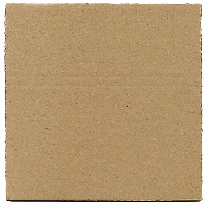 SOUNDS WHOLESALE - Sounds Wholesale 12" Stiffener Boards For Mailouts (pack of 100)