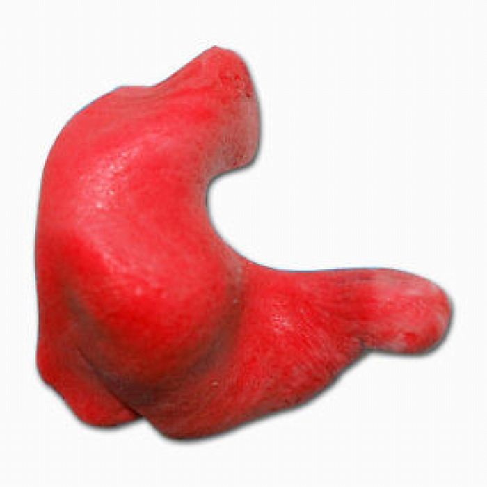 PROGUARD - Proguard Mould Your Own Custom Fit Earplugs (red)